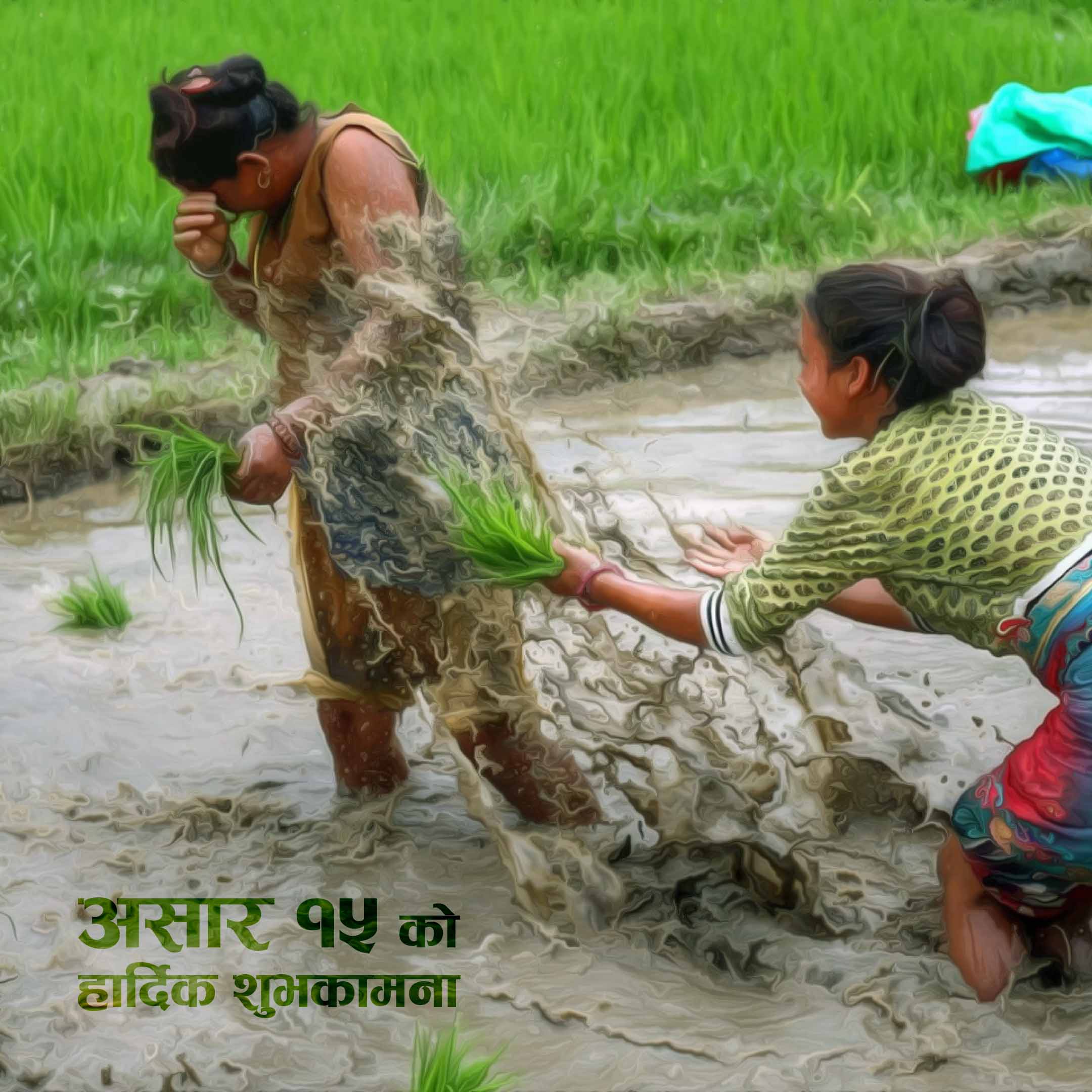 Asaar15-Cadaru-GreentingCard01